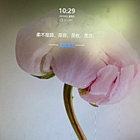 依然在坚持✊，来回奔波中，希望一切都好起来……我们就可以看外面的世界了！
