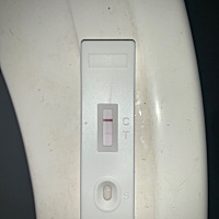 这是有了吗？2月2日来的例假，之前大卫试纸一直白板，以为是这个月生活不规律晚睡内分泌失调引起的姨妈...