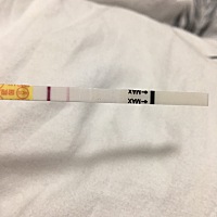 2月份6号来的月经，今天3月7号大姨妈没来，早上测了一下，这样是不是代表怀了啊，有点不敢确定啊。