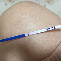 2月26.29这两天同房，排卵期是28号。我看试纸上还有一个白色的条，这是有了还是没有，太难了