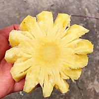 自从怀孕就开始外阴瘙痒，一直用霉菌阴道炎的方法治疗，可是久治不愈，后来去了私人医院，说我是阴道白...