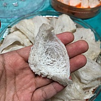 燕窝为何珍贵？为何自古受大家喜爱追捧❓ 燕窝中不可替代的特殊营养成分有3种： [爱心]唾液酸（SA）：提...