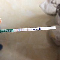 2/3月经，3/8测的，是怀孕了吗？