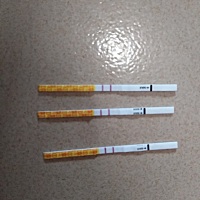 今次是备孕的第四个月。第一个月的时候啥也不懂，就同房过一次，然后紧张的等待了一个月没有反应，最后...