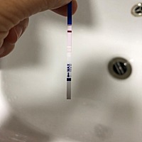 排卵期2月29日前后有同房，目前测是这样，麻烦大家帮看看，中奖了吗？