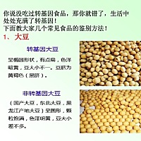 前几天看了一个小视频，内容是是叶剑英的女儿的个人演说，她提到了：现代年轻人好多不孕不育，是因为现...