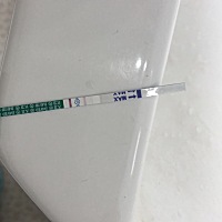 算是中奖了吗？准备了大半年！