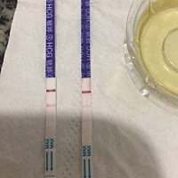 很认真的问，快来大姨妈会两条杠么？最近疫情严重，我不是很敢去医院。我今天测了两次，昨天以为验孕棒...