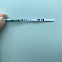 由于姨妈周期不规律，好怕是空欢喜一场啊