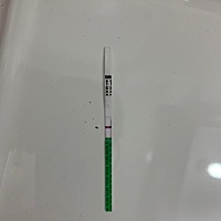 这是怀孕了吗？很懵圈，正常没怀第二道杠一点都看不出来吗？各位大神们，真的假的。又激动又害怕