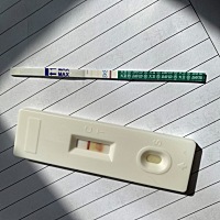 我这是有了吗，排卵期是2月24号 激动啊 有经验的宝宝们 这