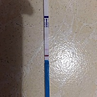 上次月经是2月底，昨天晚上测了两个都是这样的，这是有了嘛。但是并没有恶心犯困的症状，有经验的宝妈们...