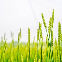 研究表明，辅导孩子写作业，不仅伤害亲子关系，还伤害夫妻感情。因为95%以上的家长在辅导作业时，都觉得...