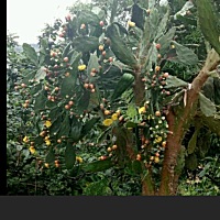 3月6号来，但愿我这个月好好爱一下让我怀上健康宝宝，🙏🙏🙏🙏🙏🙏🙏