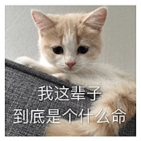 宝宝马上一周五了爸爸妈妈都不会叫，一天教他n遍就是不开口有没有同款宝妈交流一下