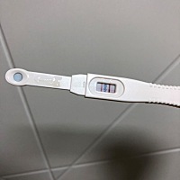 2.9来月经 2.17同房 月经延后3天了 今天早上测 是怀孕了吗