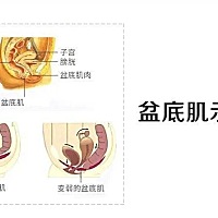 在这个超长假期里，你的盆底恢复计划也在延期吗？ 🌟在目前的非常时期，我们更应该把居家训练融入到日...