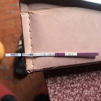 谁可以帮我看看，这个是不是预示着要排卵了？我第一次用搞不太懂啊？.