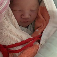 喜提米奇一只。前三个月孕吐厉害，不吃肉。喜甜喜辣 爱奶茶。肚子尖  胎动强。 感谢你选择我作为你的妈...