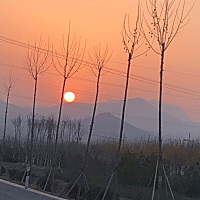 备孕一年多了，每次都是满满的希望，然后满满的失望😞末次月经2.21有没有一起等待⌛️的姐妹们^_^