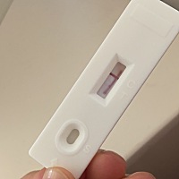 这是有了还是没有？