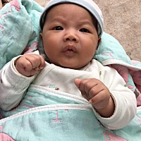 我家的🐷仔 有没有同一天