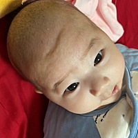 没有任何磕碰 吃喝正常
