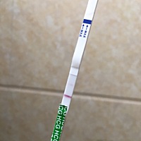 不知道是不是有了 26号排卵期大姨妈都推迟2天了然后14号测了一下刚刚开始等了4分钟是一条杠，然后我就去...