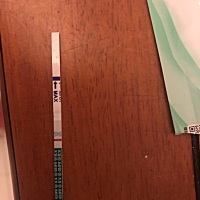 2月18号末次月经