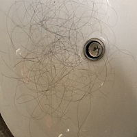 五个月还有十天，梳个头头发掉成如此模式