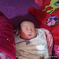 小棉袄出生了第9天报个喜。一切顺利。