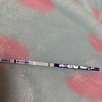 末次月经是2.16，3.2排卵。正常月经周期是29天，按照推算今明应该要来月经了。这几天小腹隐隐约约一直不...
