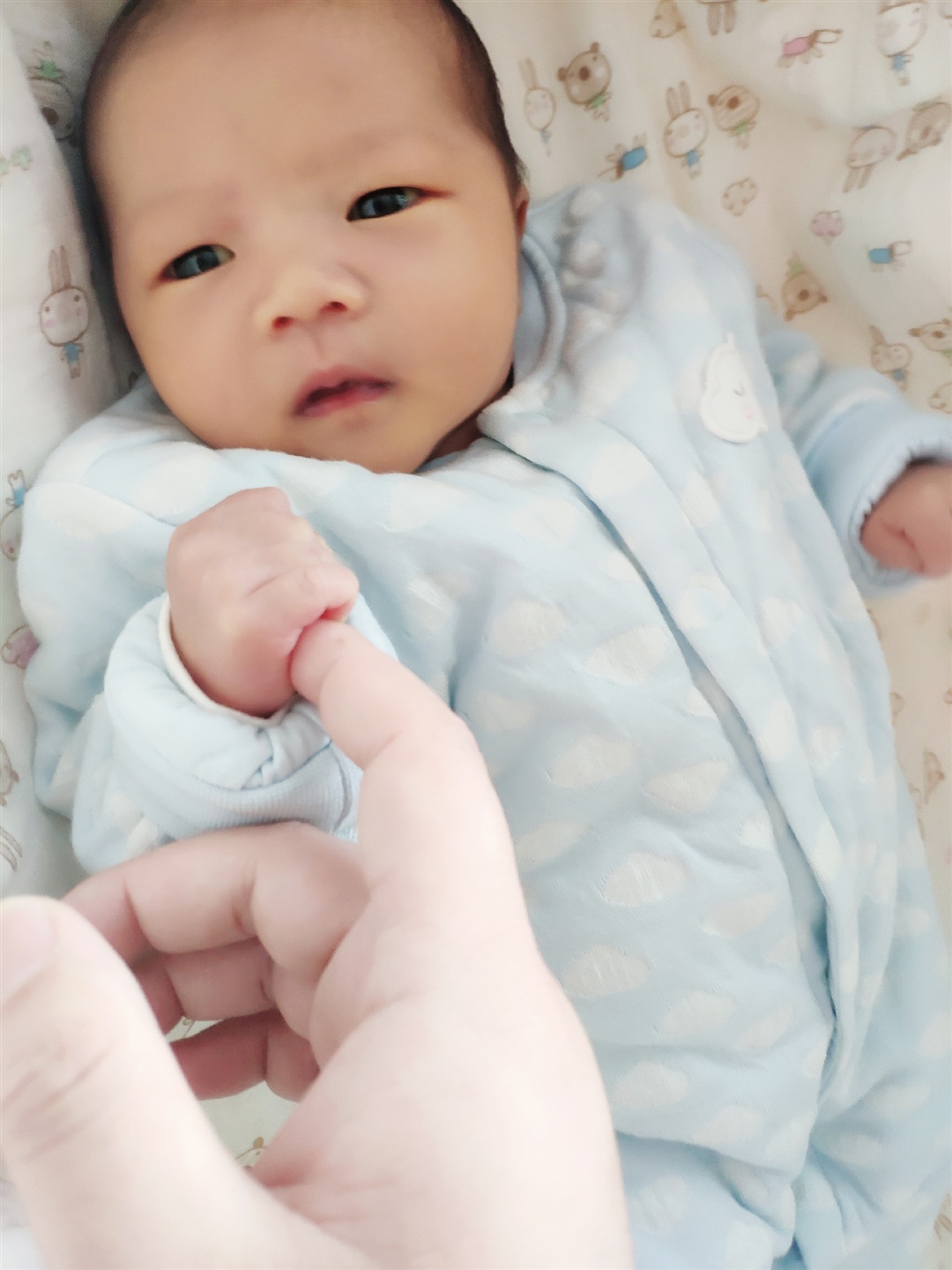 不要离开我