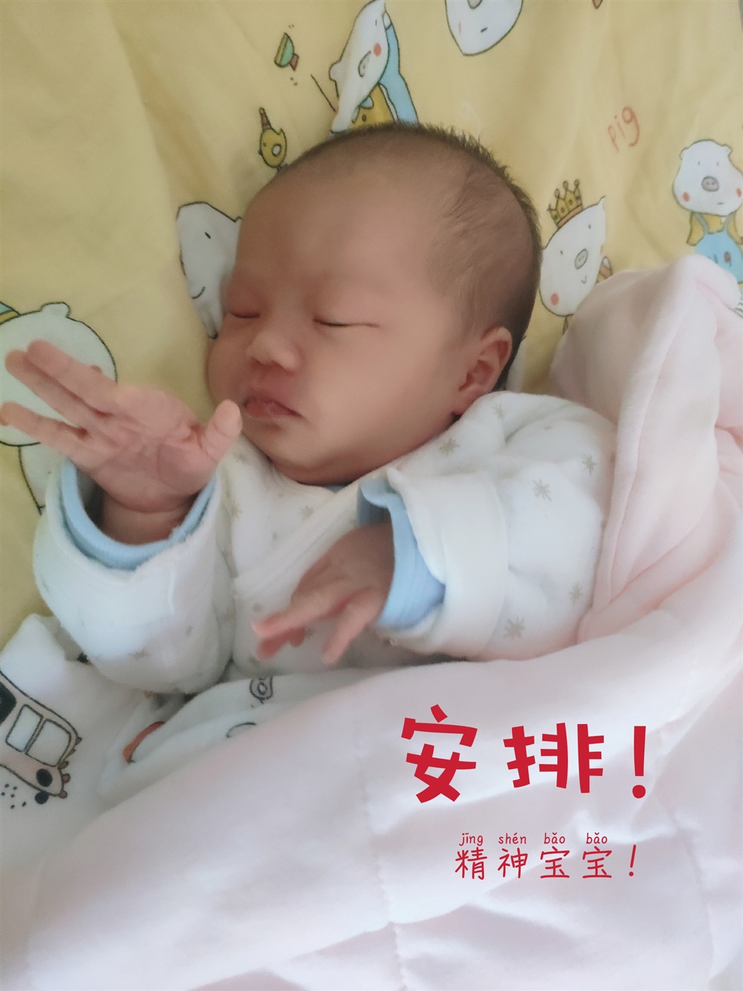 精神宝宝，安排