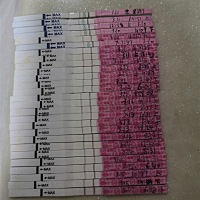 凌晨一点半左右同房，到晚上七点测的排卵还是强阳，十一点测就已经弱阳了，也就是说七点到十一点之间排...