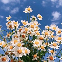 跟前夫过两个健康的孩子 现在二婚怀孕2次都没有胎心 一直很担心    现在老公没结过婚想要孩子 没有胎心...