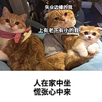 乳腺炎折磨人又费钱 疼得要命 大硬块子又出不来 通乳的说带着硬块回奶会乳腺癌 癌就癌吧 别在我四十五岁...
