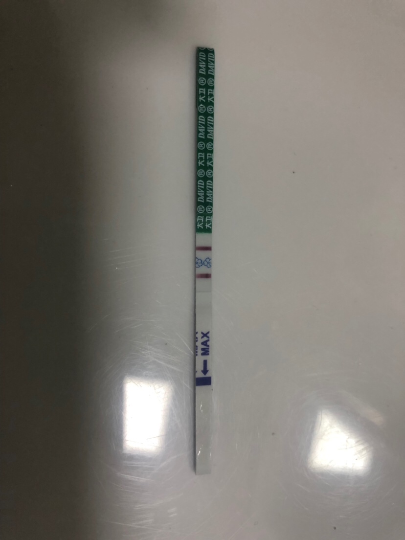 这是怀孕了吗？