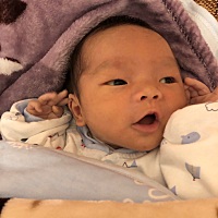 小朋友 你是否有很多问号