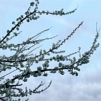 经常会有宝妈们在问，宝宝积食了不好好吃饭怎么办。其实小朋友们的消化系统发育不完善，积食是挺常见的...