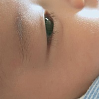 小睫毛精😘😘