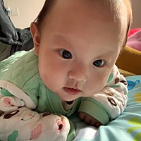 最近几天掉了好多头发，听人家讲是胎毛，你们家的都会掉嘛🤣我家是没有给宝宝剃头过的，本来头发也不...