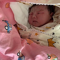 女人生孩子实在太不容易了，用了半条命，换回来的，3月17号正好38周，早上六点突然小肚子疼，姨妈那种疼...