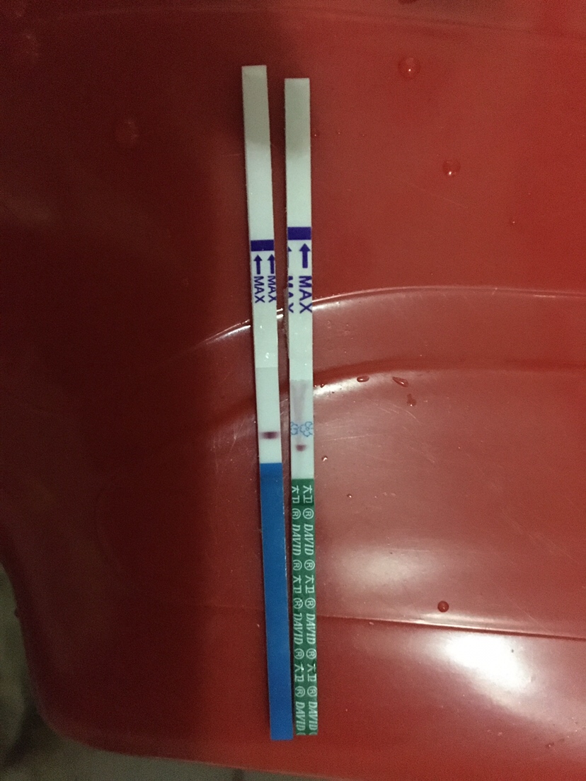 2月19日未次，6日排，今天测试还是白板，估没有戏了