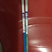 怀孕没有？ 2月19日未次，6日排，今天测试还是白板，估没有戏了