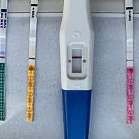 粉色是排卵，其他三种是ZZY，还有五天来月经，排卵又阳了，真费劲……