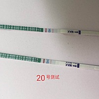 还差2天就到经期了，第二次测试双杠颜色慢慢变深了😃
