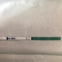 排卵大概在3月10号  末次月经上月24号  为什么3月18号测有印  之后这两天测都白板了呢  有差不多的姐妹...