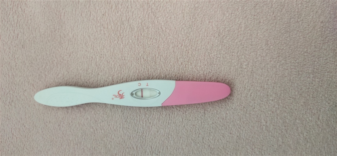 3月20号中午拍的