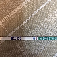 10号排卵 19号晚上随手测了一下 感觉有一点点印子 求大家看看 不敢报太大希望 后两张图是20号早上测的